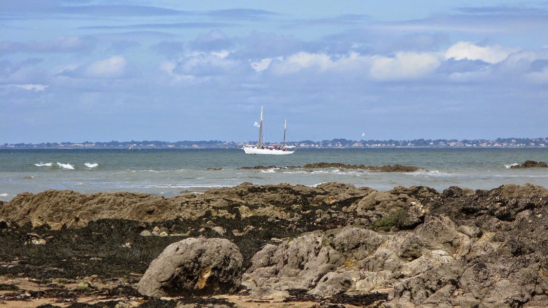 2014 Ile de Noirmoutiers (37)